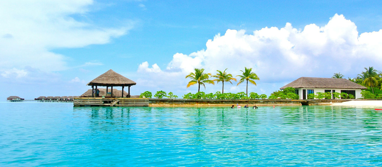 Avantio Staging Site