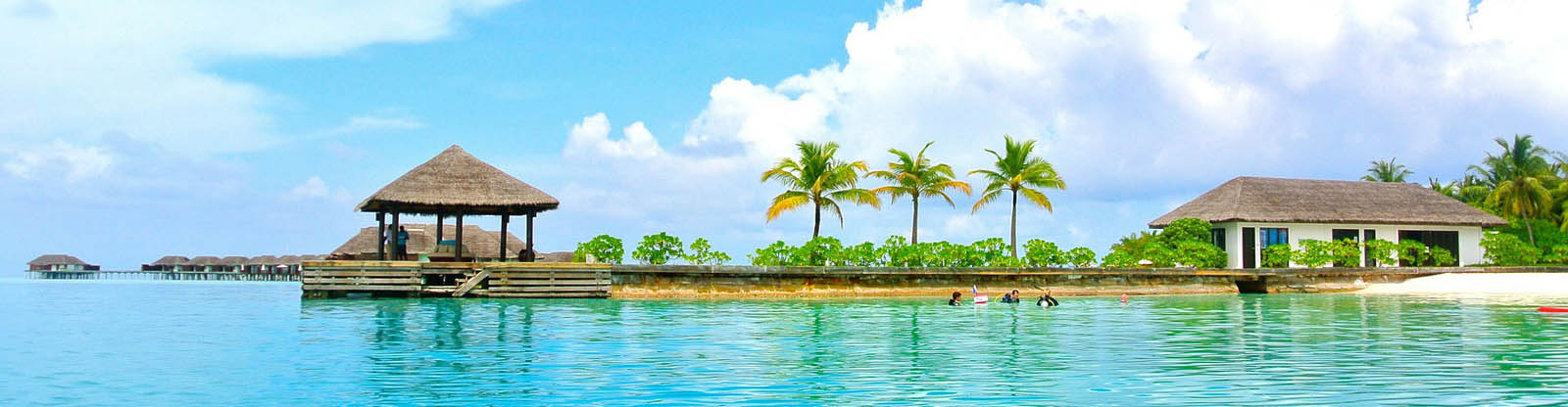 Avantio Staging Site